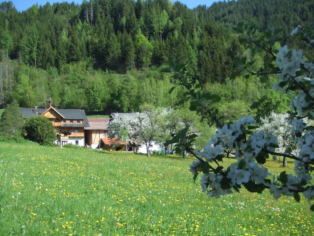 Farm stay Holdhof Schladming
